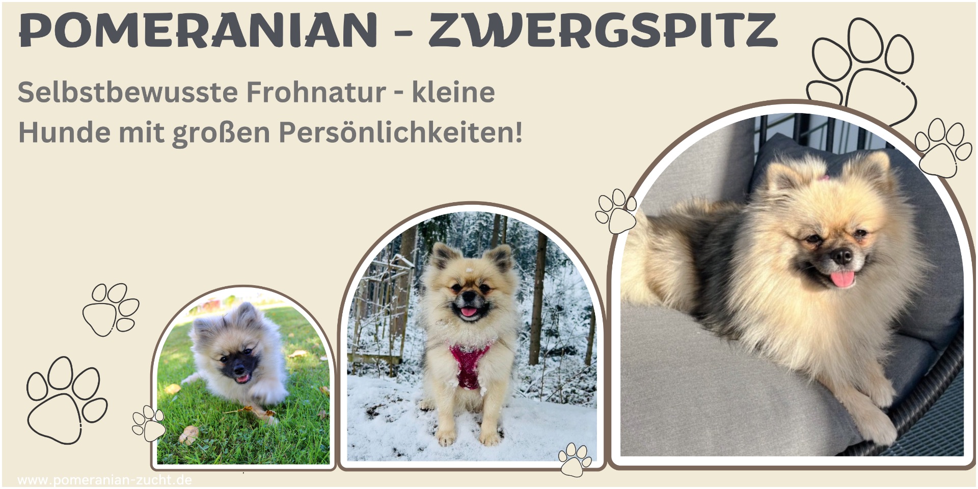 placeholder image-wide